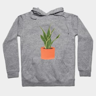 sansevieria interior plant Hoodie